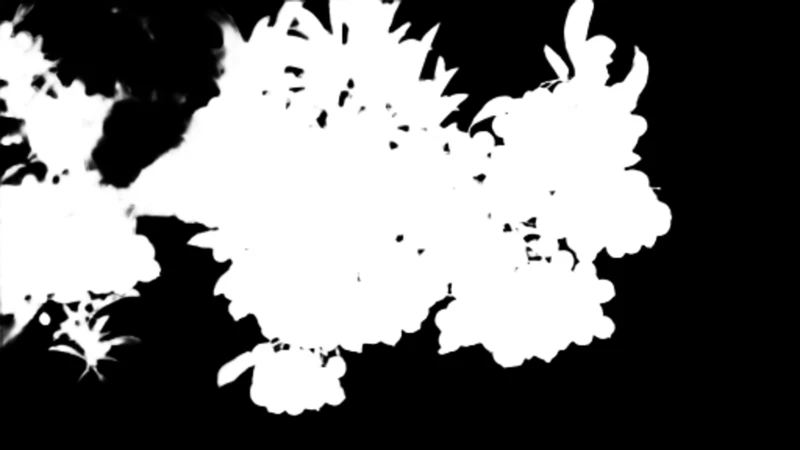 Alpha matte prediction: Orange Berries on Branch