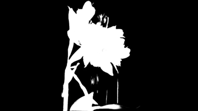 Alpha matte prediction: Red Flower on Balcony