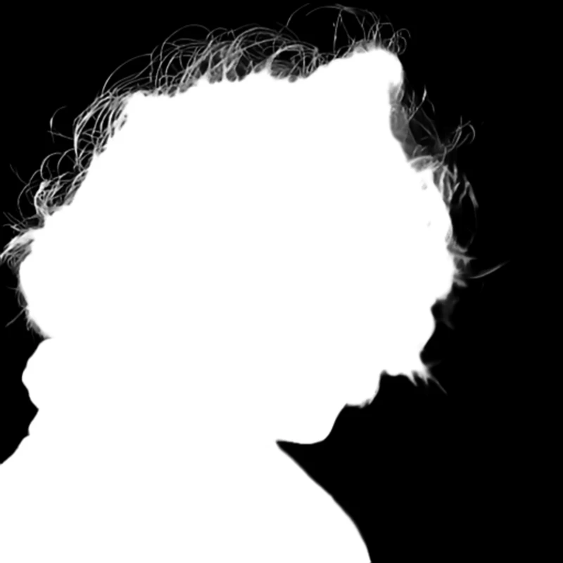 Alpha matte prediction: Windblown Curly Portrait