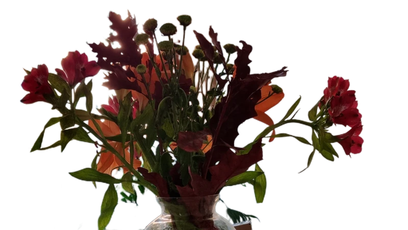 Background removed: Autumn Bouquet in Vase