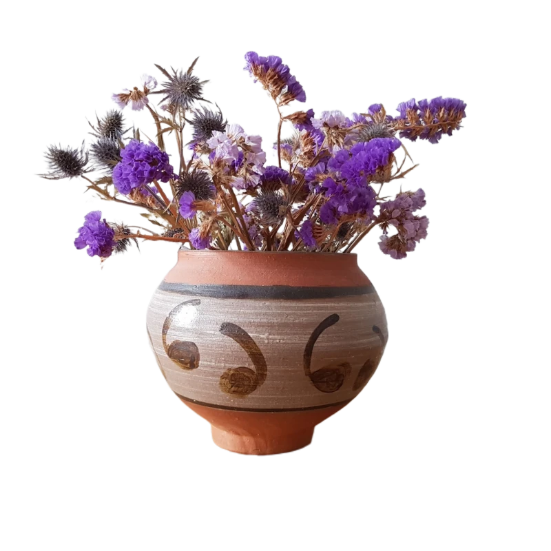 Background removed: Dried Flowers in Clay Vase