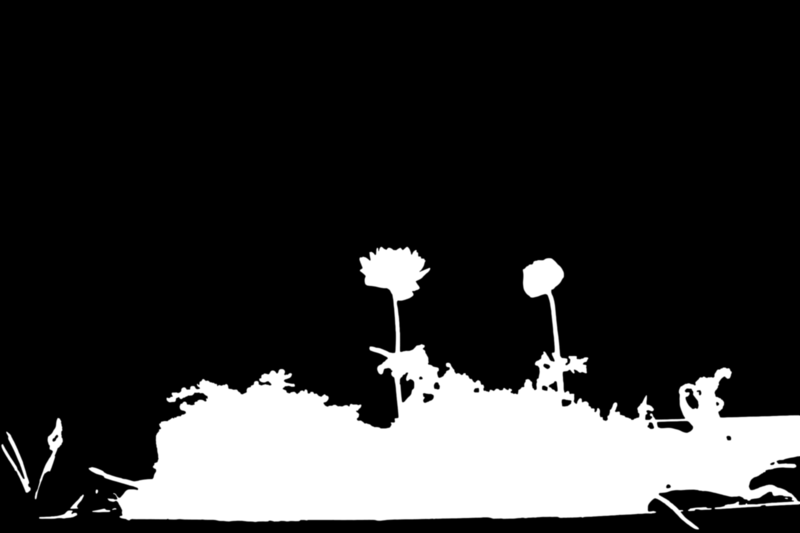 Clipping Magic alpha matte: Balcony Flower Planter