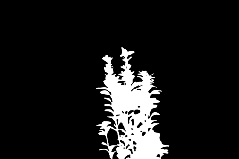 Clipping Magic alpha matte: Balcony Plant Bokeh