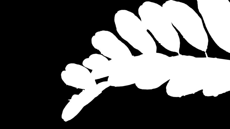 Clipping Magic alpha matte: Compound Leaf with Raindrops