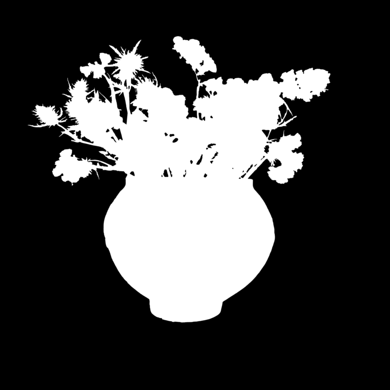 Clipping Magic alpha matte: Dried Flowers in Clay Vase