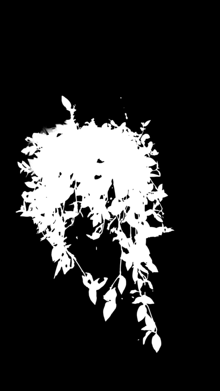 Clipping Magic alpha matte: Hanging Plant in Window