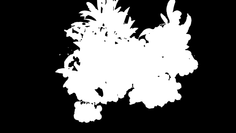 Clipping Magic alpha matte: Orange Berries on Branch