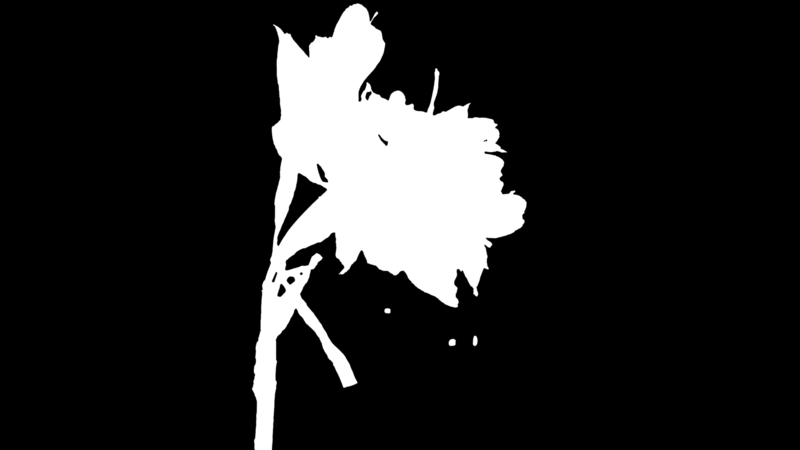 Clipping Magic alpha matte: Red Flower on Balcony