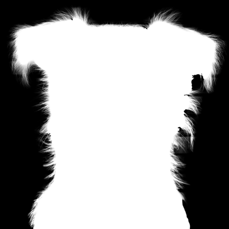 Clipping Magic alpha matte: Terrier Dog Mugshot