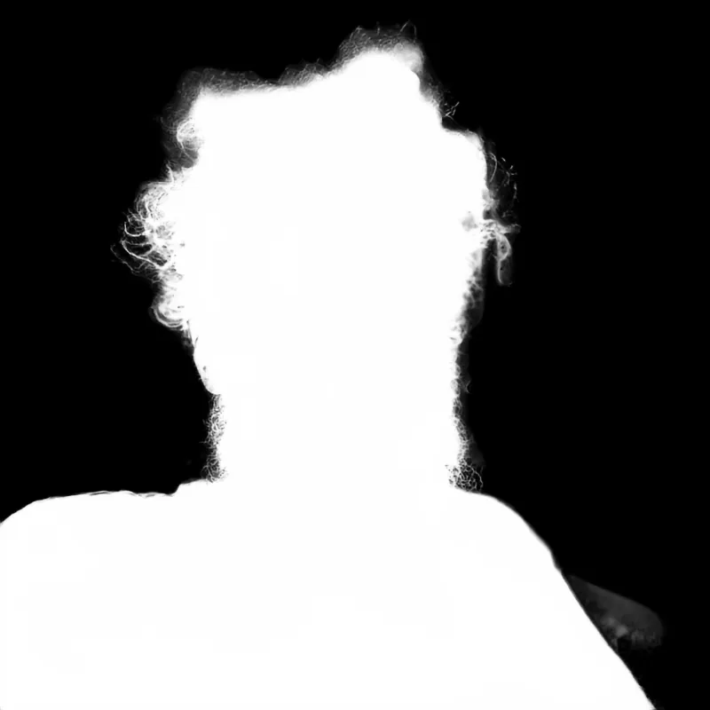 Focus model alpha matte: Messy-Haired Bearded Portrait