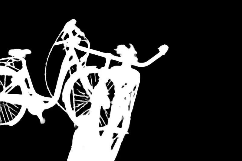 Focus model alpha matte: Two Bikes in Field