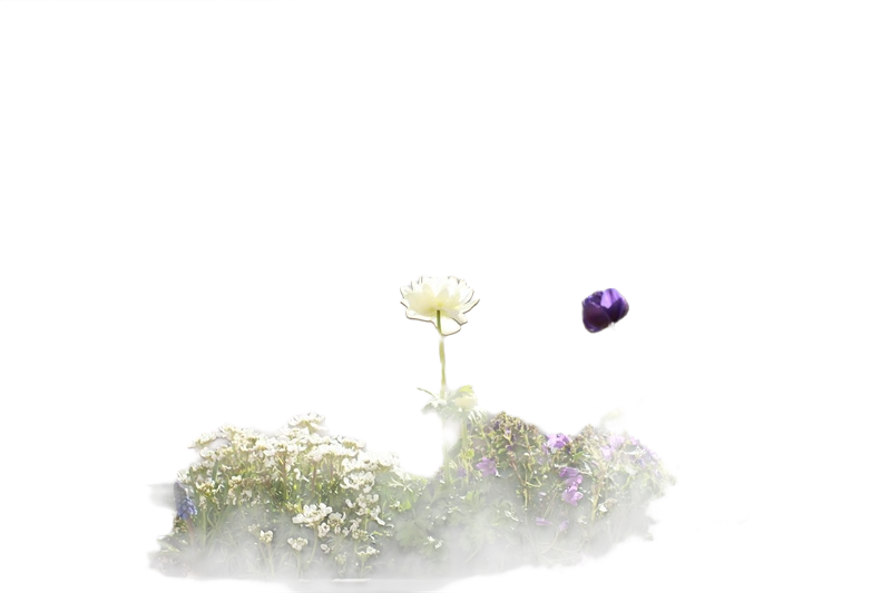 Background removed: Balcony Flower Planter