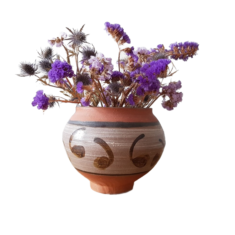 Background removed: Dried Flowers in Clay Vase