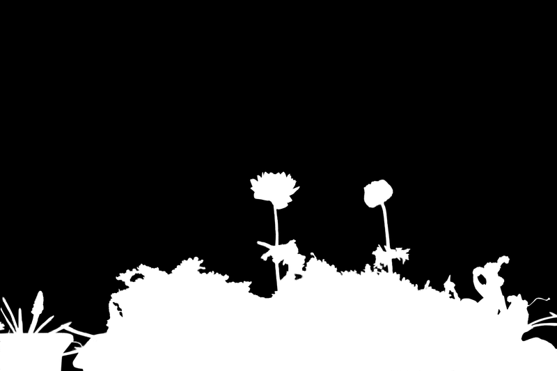 Ground truth alpha matte: Balcony Flower Planter