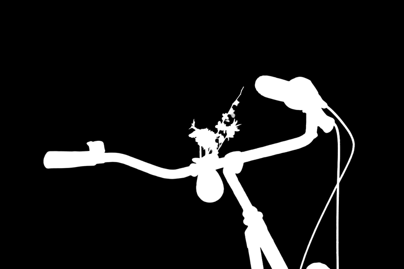 Ground truth alpha matte: Bike Handlebar at Beach