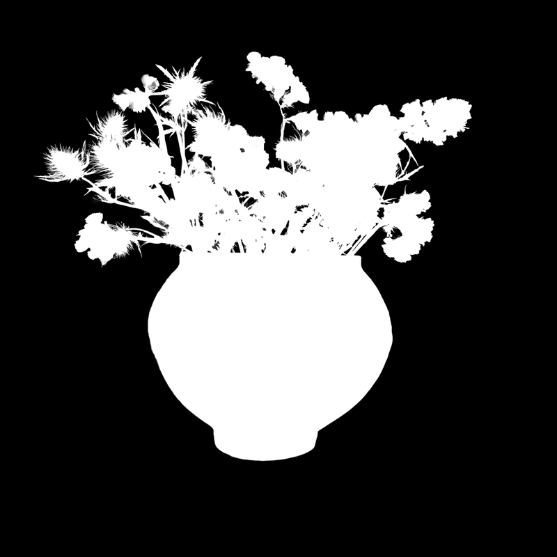 Ground truth alpha matte: Dried Flowers in Clay Vase