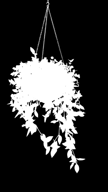 Ground truth alpha matte: Hanging Plant in Window