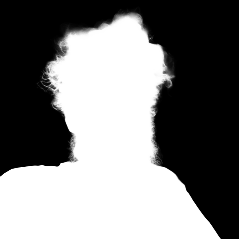 Ground truth alpha matte: Messy-Haired Bearded Portrait