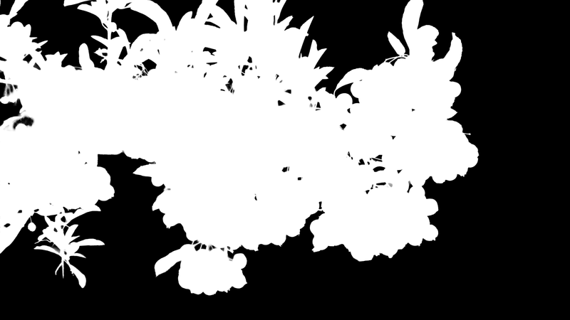 Ground truth alpha matte: Orange Berries on Branch