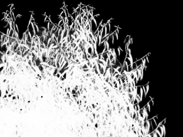 Ground truth alpha matte: Rocky Coast with Bush