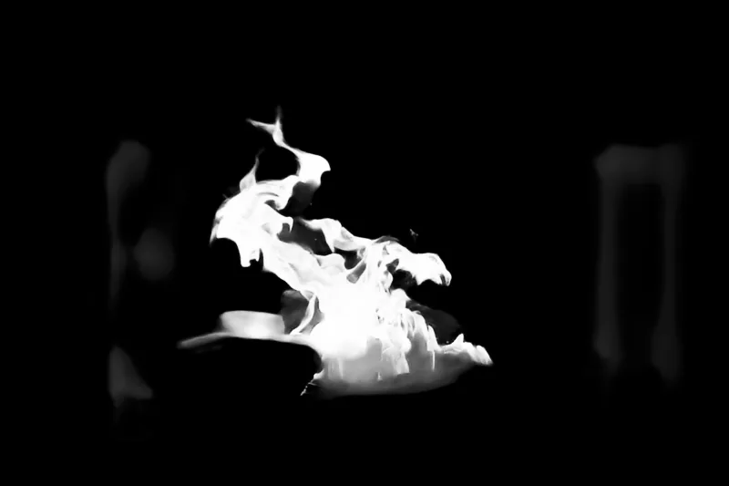Alpha matte prediction: Campfire Flames at Night
