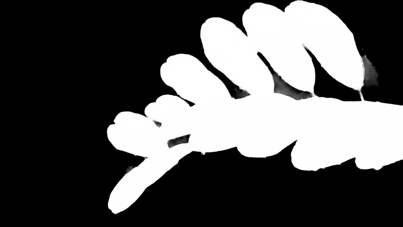 Alpha matte prediction: Compound Leaf with Raindrops