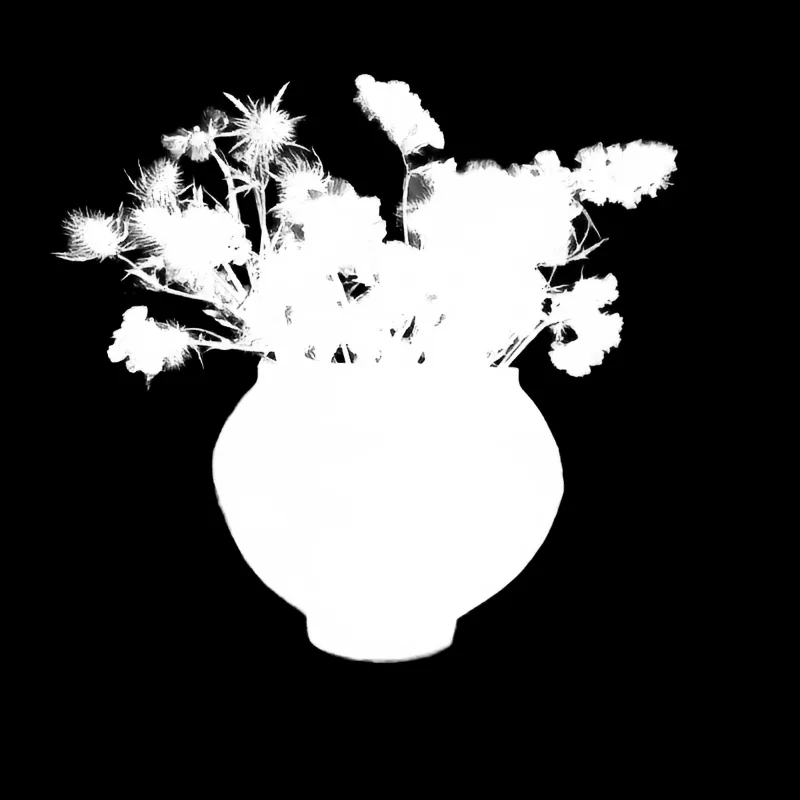 Alpha matte prediction: Dried Flowers in Clay Vase