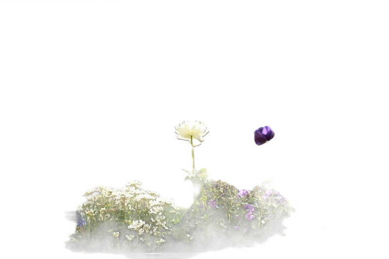 Background removed: Balcony Flower Planter