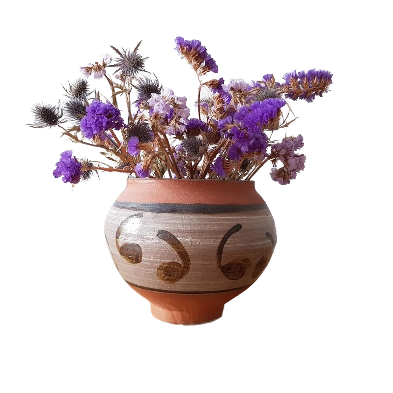 Background removed: Dried Flowers in Clay Vase