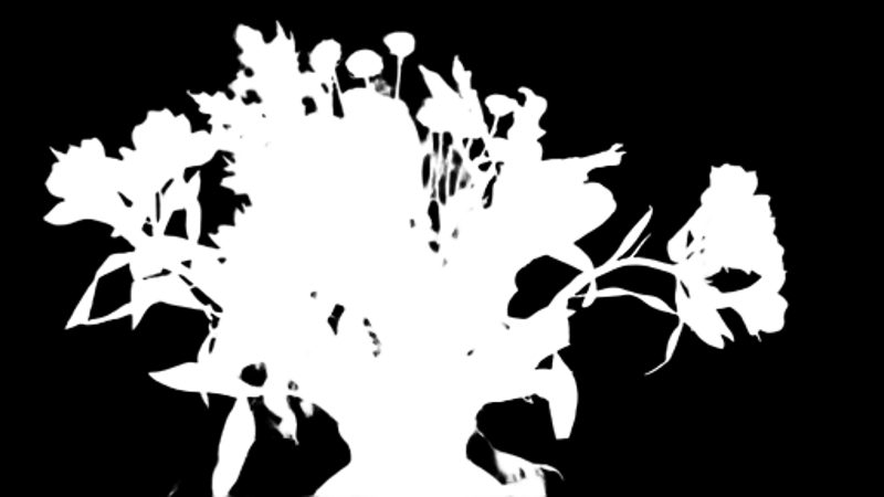 Pro model alpha matte: Autumn Bouquet in Vase