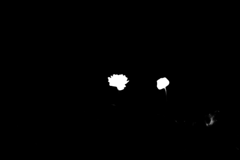 Pro model alpha matte: Balcony Flower Planter