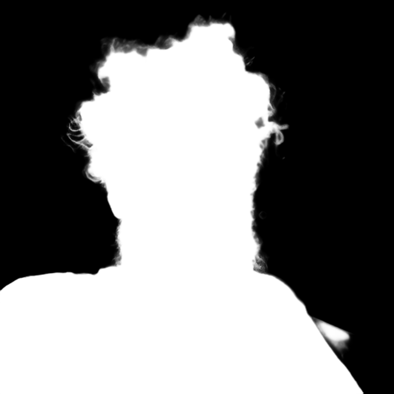 Pro model alpha matte: Messy-Haired Bearded Portrait