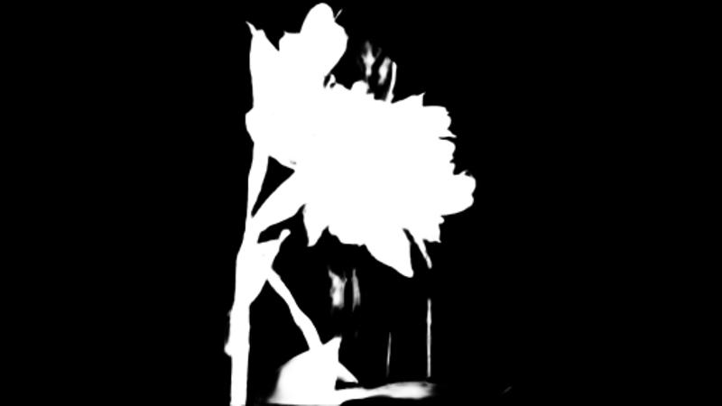 Pro model alpha matte: Red Flower on Balcony