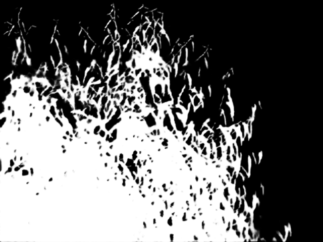 Pro model alpha matte: Rocky Coast with Bush