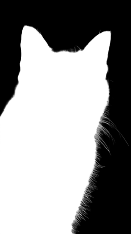 Pro model alpha matte: Tabby Cat Portrait