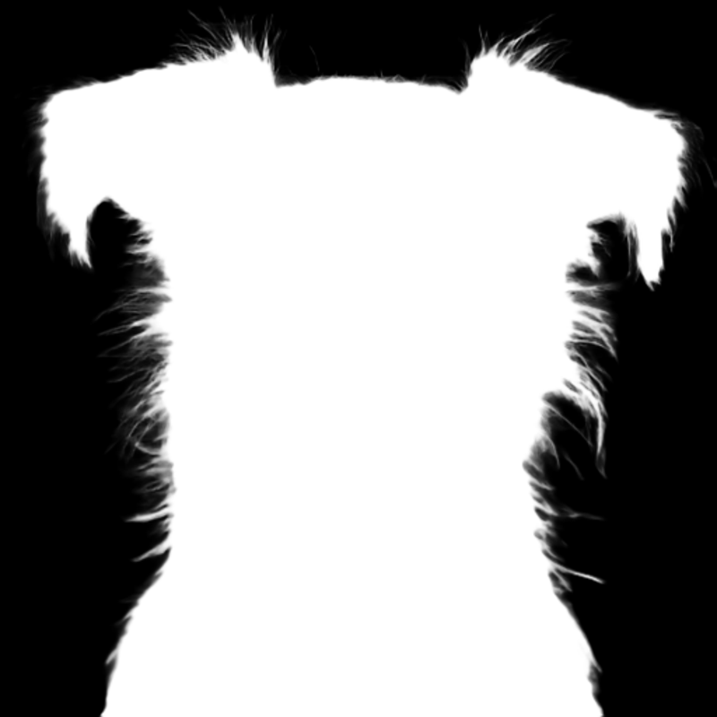 Pro model alpha matte: Terrier Dog Mugshot