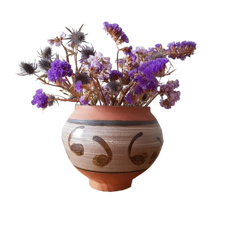 Background removed: Dried Flowers in Clay Vase