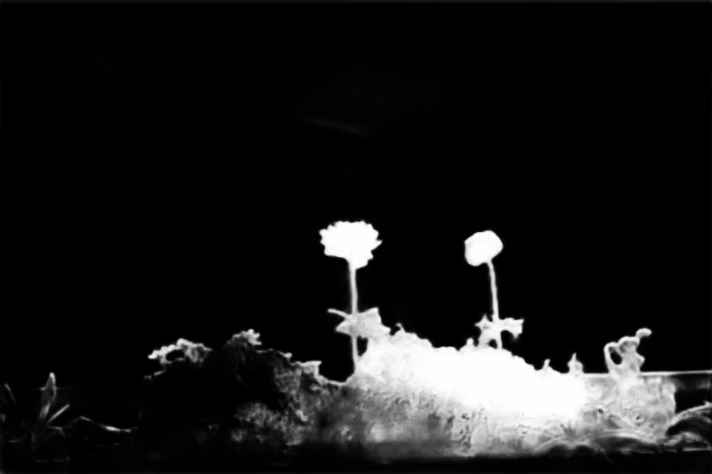 Snap model alpha matte: Balcony Flower Planter