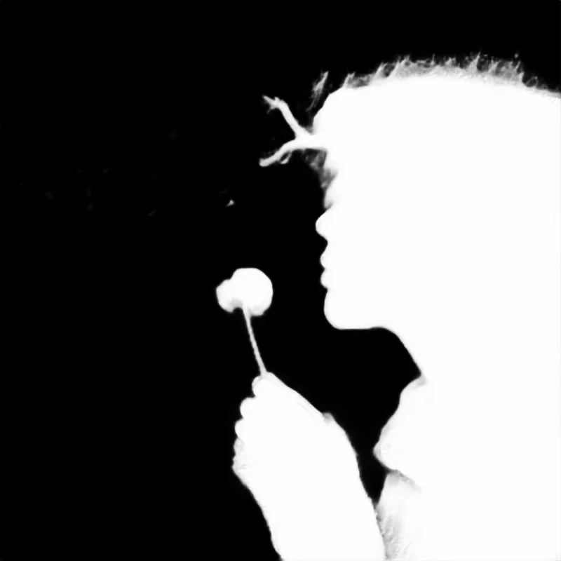 Snap model alpha matte: Blowing Dandelion Seeds