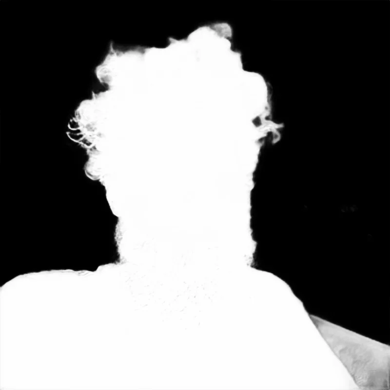 Snap model alpha matte: Messy-Haired Bearded Portrait