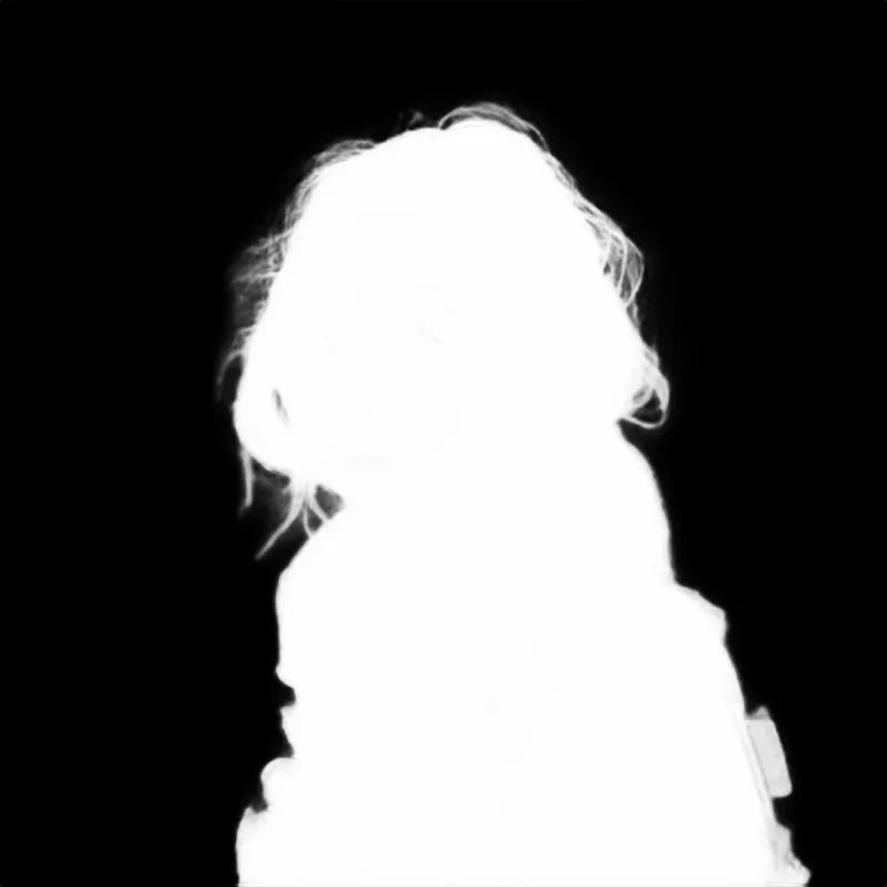 Snap model alpha matte: Sunset Field Portrait