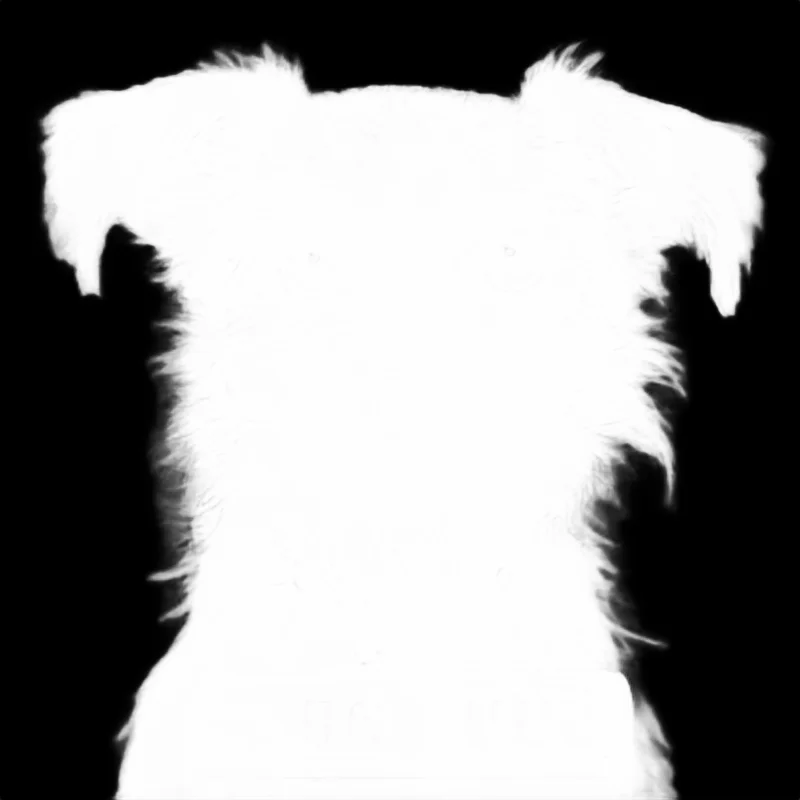 Snap model alpha matte: Terrier Dog Mugshot