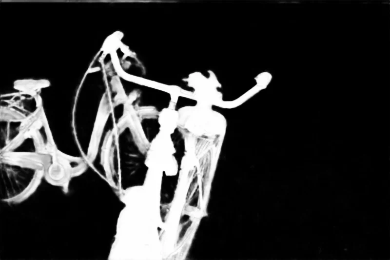 Snap model alpha matte: Two Bikes in Field