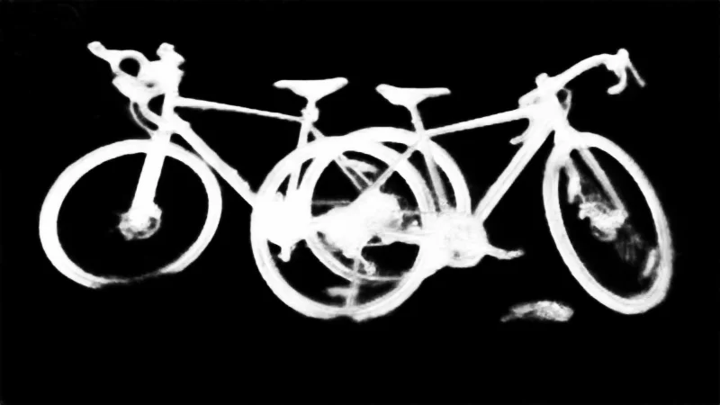 Snap model alpha matte: Two Gravel Bikes in Park