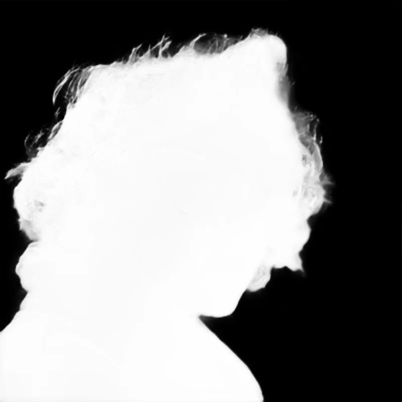 Snap model alpha matte: Windblown Curly Portrait