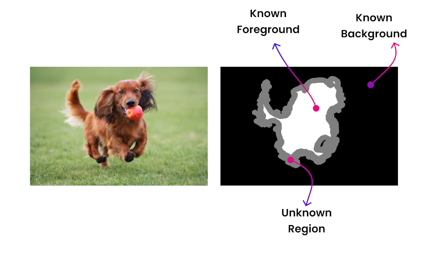 Illustration of trimap helping in background removal