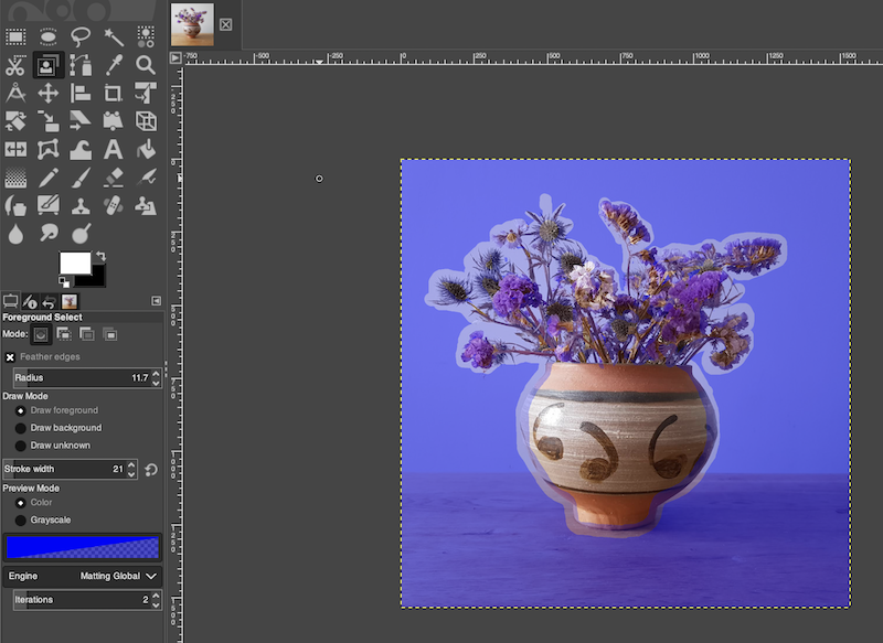 Foreground Selection on GIMP